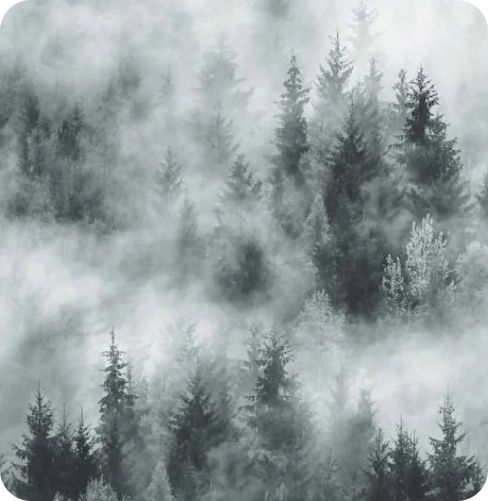 Cloud forest wallpaper by Marburg